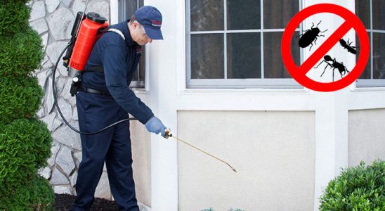 Gerze Dezenfeksiyon böcek ilaçlama ve haşere kontrolü — ilaclama-tr.com
